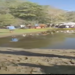 菲律宾小型飞机坠毁 邦阿西楠2人遇难-博彩排名网-博彩论坛-博彩社区