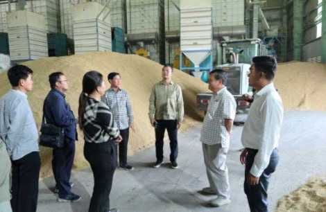 火灾频发：农业银行行长呼吁碾米厂加强防范并投保-博彩排名网-博彩论坛-博彩社区