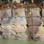 特种巡警部队成功查获了8百万颗兴奋剂药丸-博彩排名网-博彩论坛-博彩社区